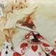 Fairy Tale Story Coin Pouch, Alice Story