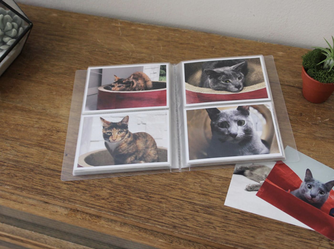 MochiThings 3x5 Mono Clear Photo Album Set