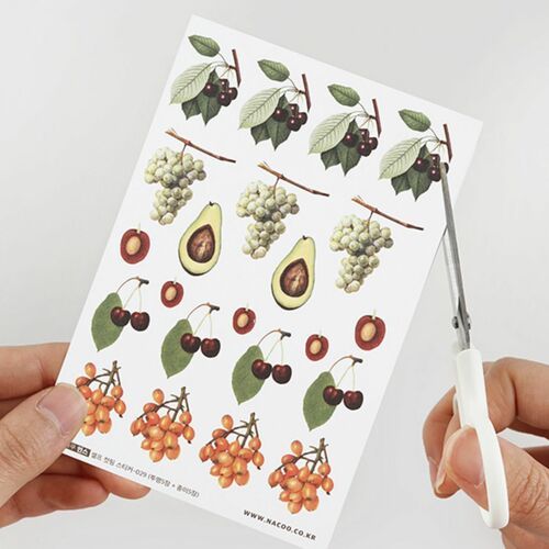 10pcs Fruit CYO Sticker Set - Image 4