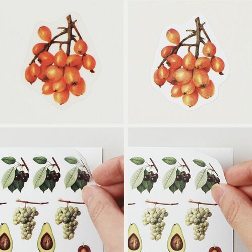 10pcs Fruit CYO Sticker Set - Image 8