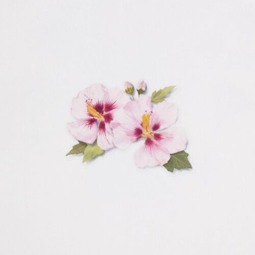 Rose of Sharon Pressed Flower Sticker