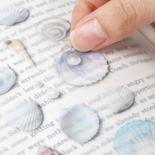 Seashell Nature Sticker