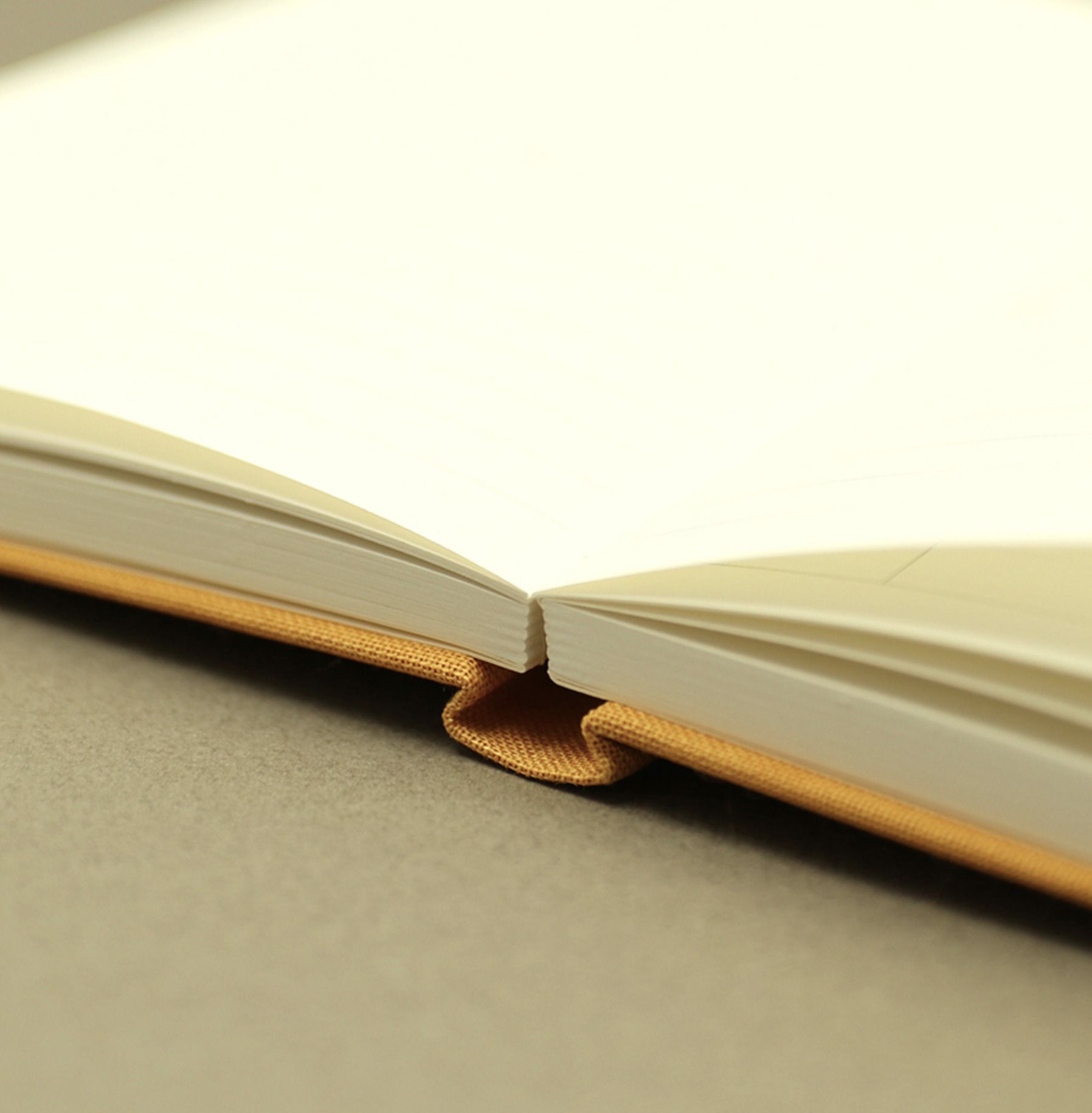 2022 Small Around the Day Weekly Planner