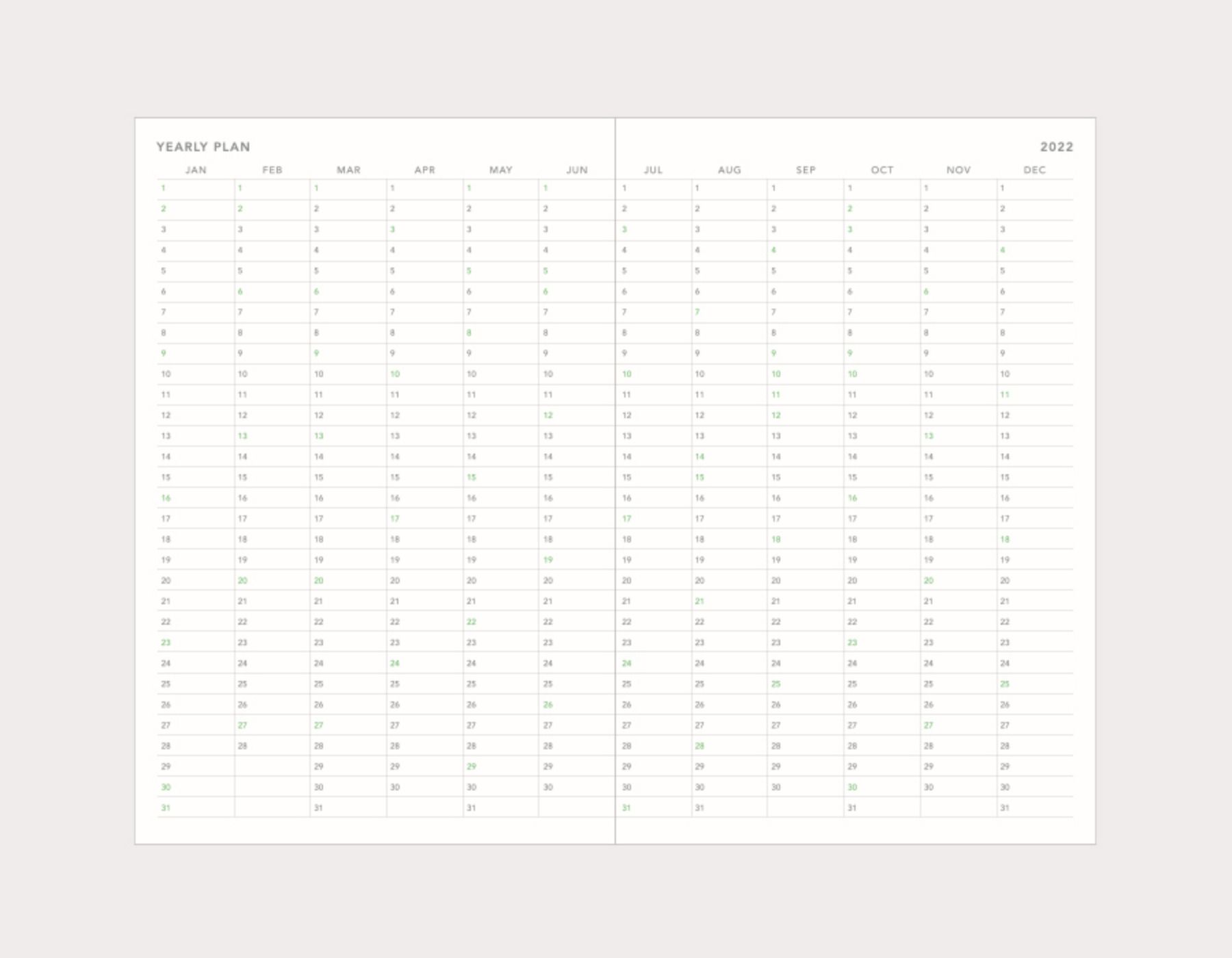 2022 Large Around the Day Weekly Planner