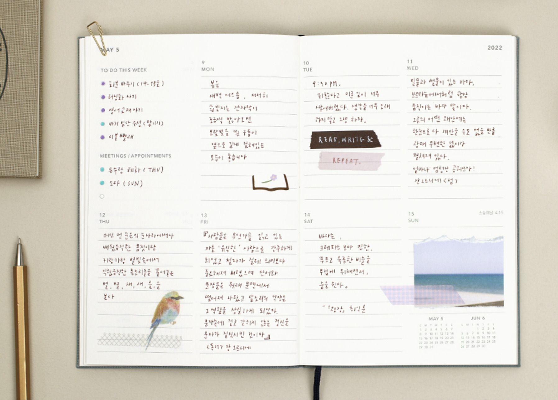 2022 Large Around the Day Weekly Planner