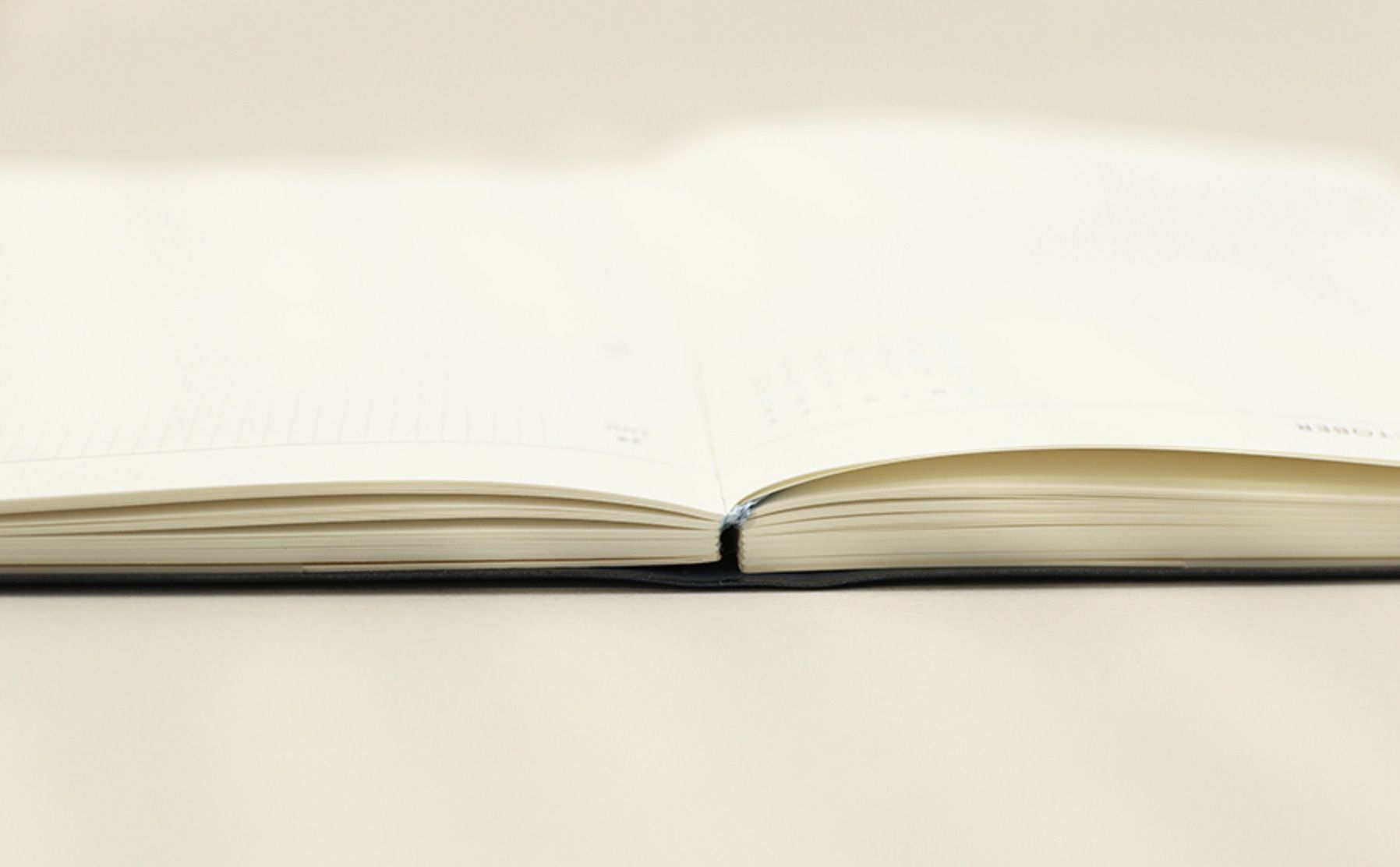 2022 Edit L Weekly Planner