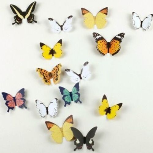 Butterfly Wall Deco Set