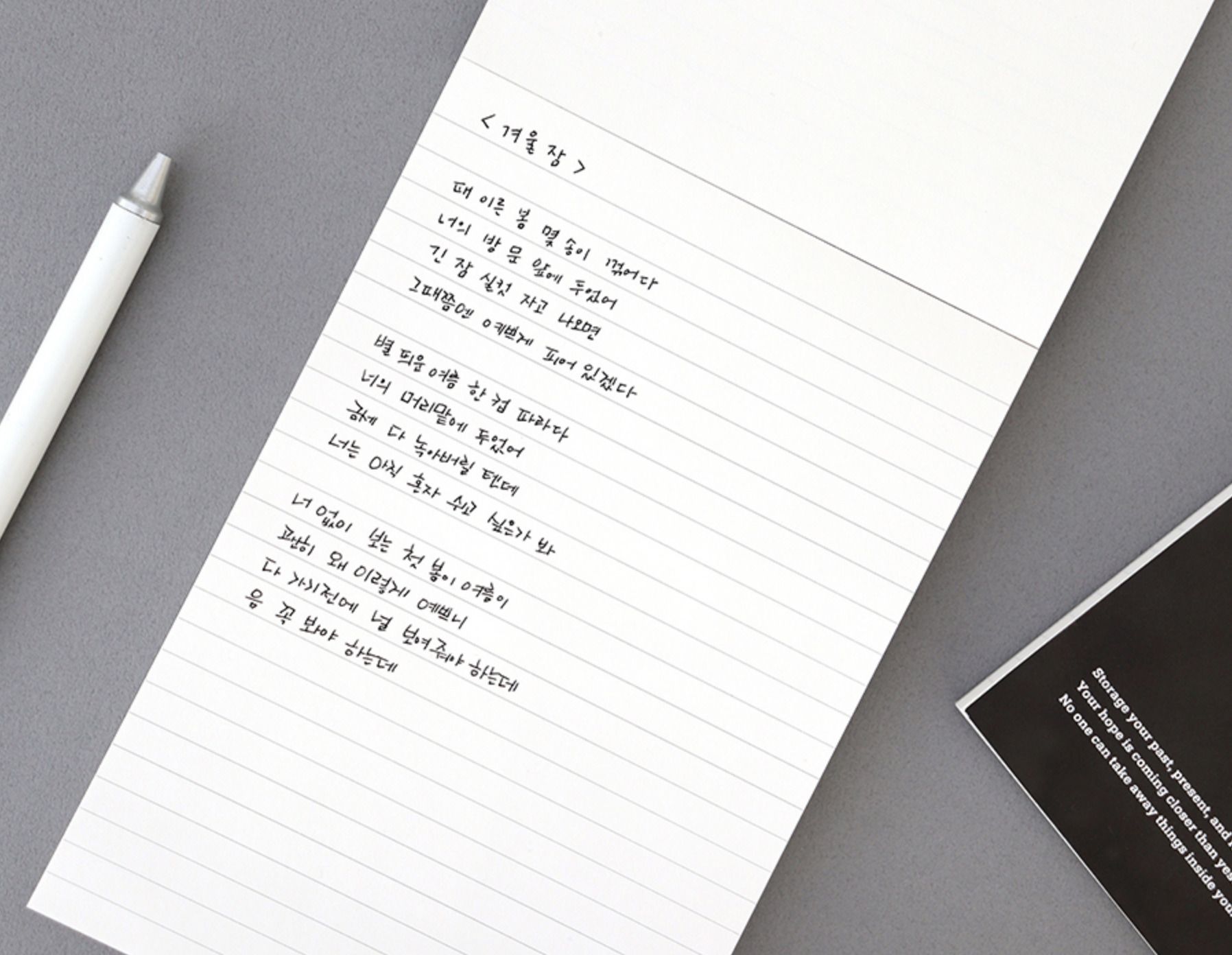 MochiThings: Storage B6 Lined Notepad