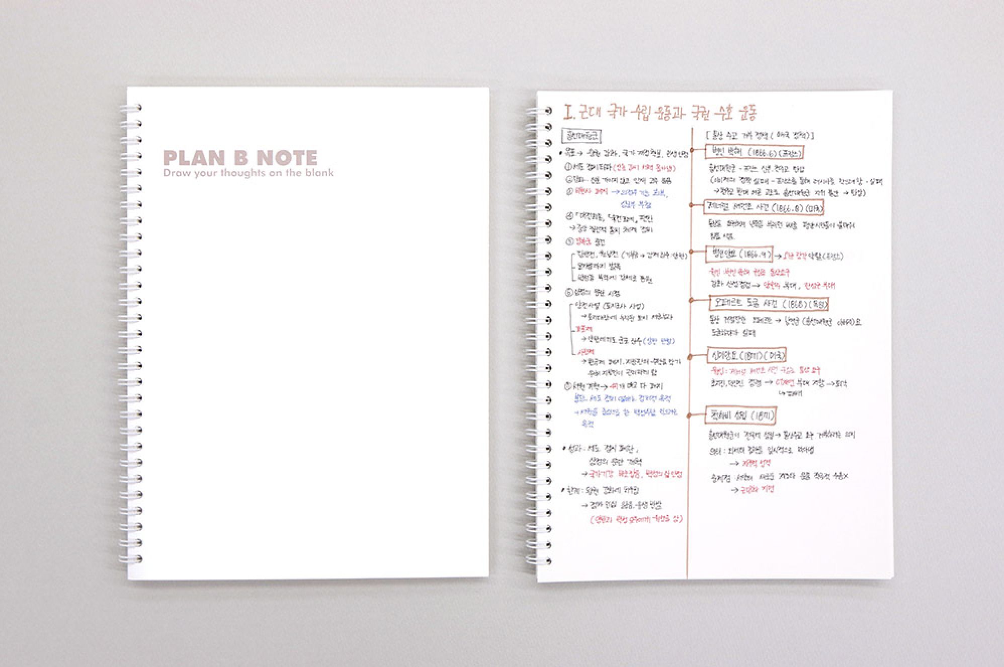 MochiThings: Large Plan B Spiral Notebook