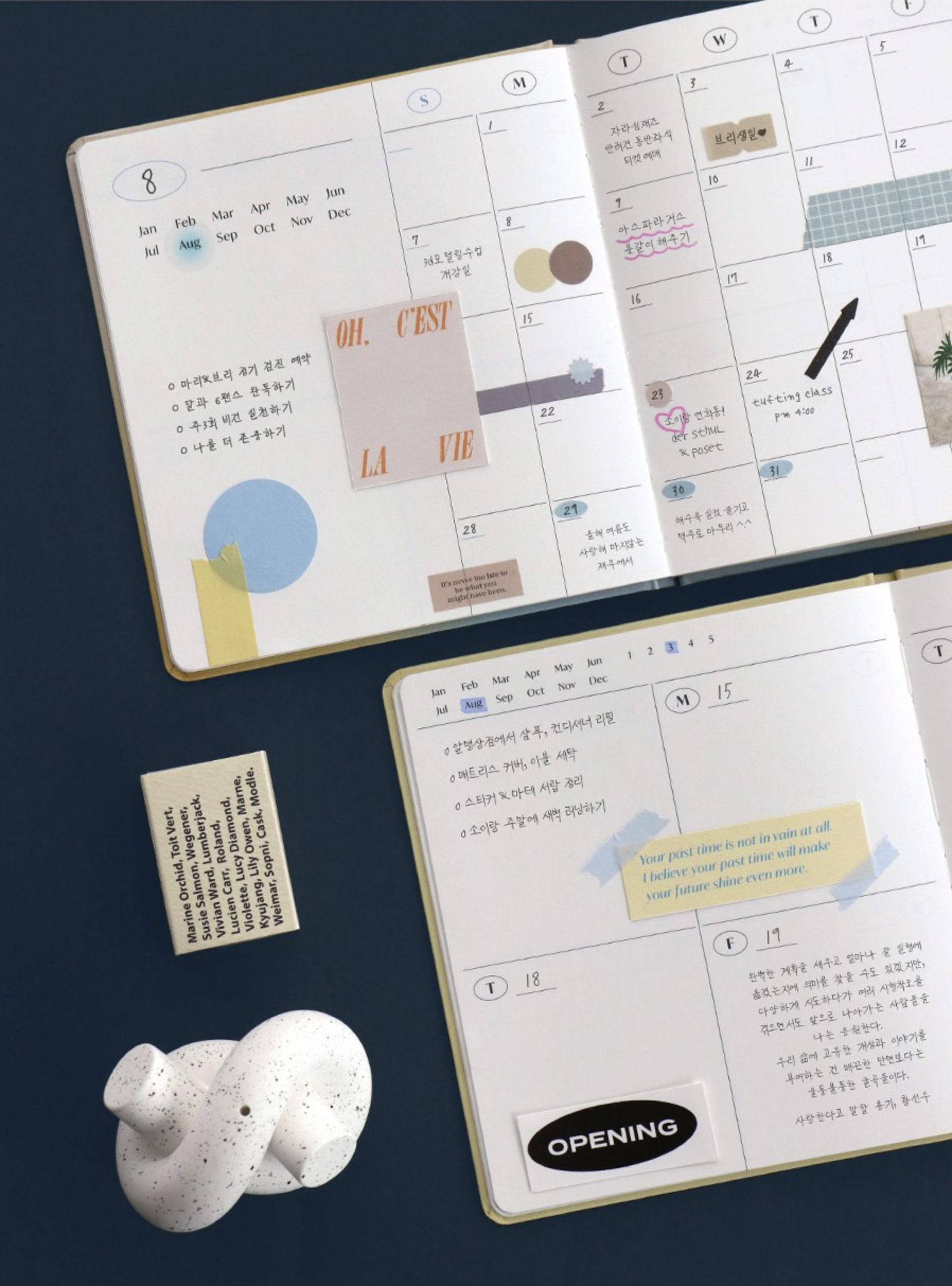 Turn the Page Semi Year Planner