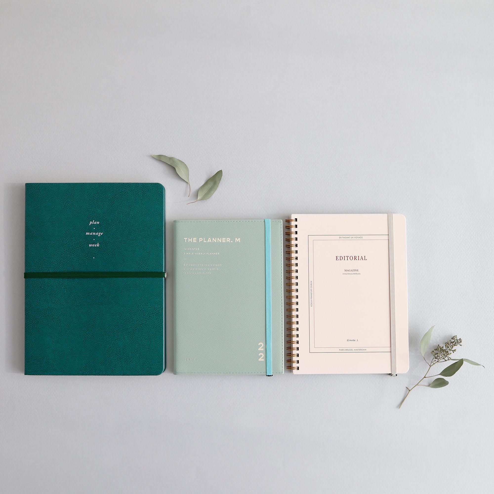 2023 The Planner M