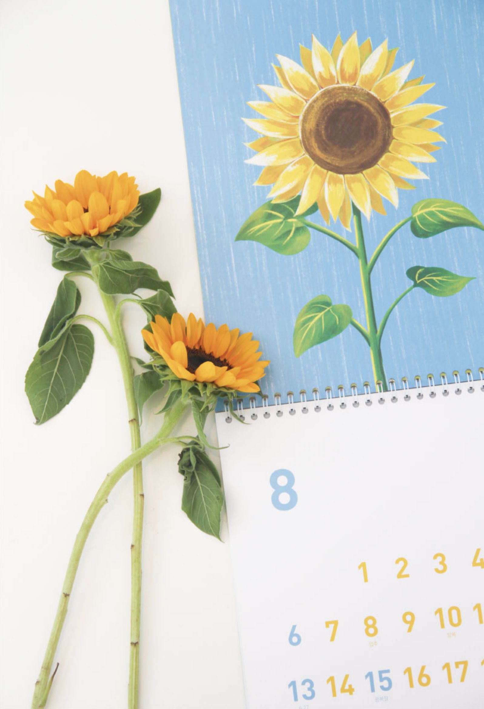 MochiThings 2023 Vintage Flower Wall Calendar