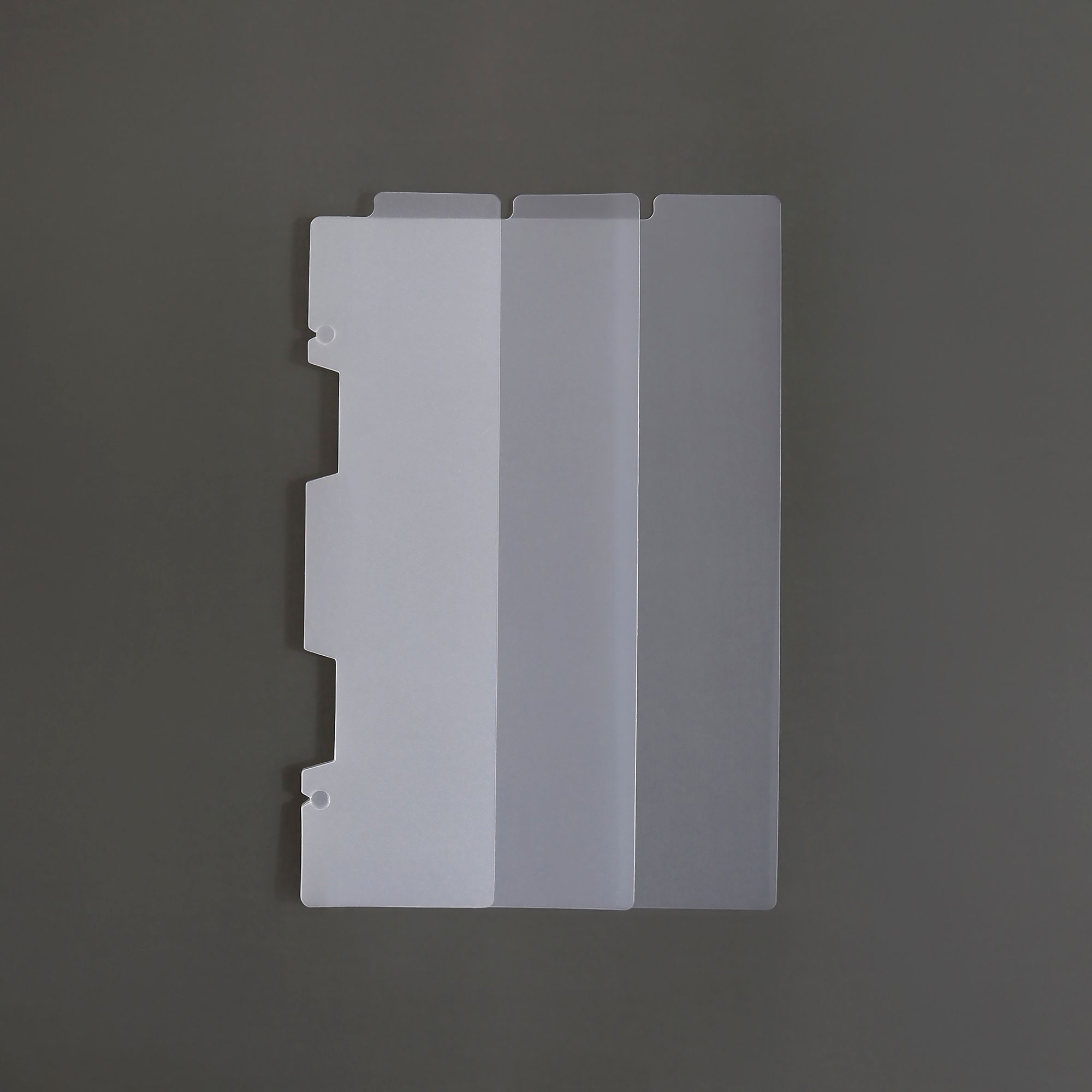 MochiThings: Vertical Translucent 6 Ring A5 Index Tabs