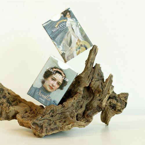 48pcs Sorolla Label Sticker Set - Image 22