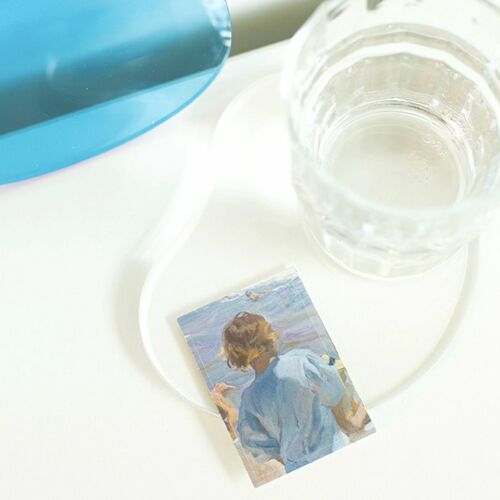 48pcs Sorolla Label Sticker Set - Image 17