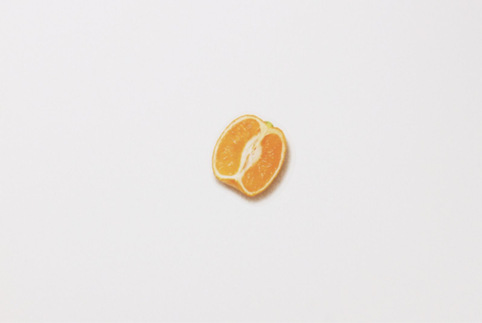 Mandarin Sticker MochiThings: Mandarin Orange Pressed Fruit Sticker