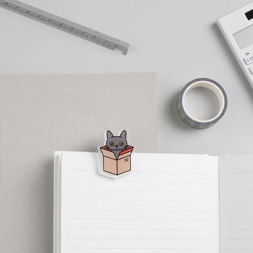 Small Transparent Triangular Ruler