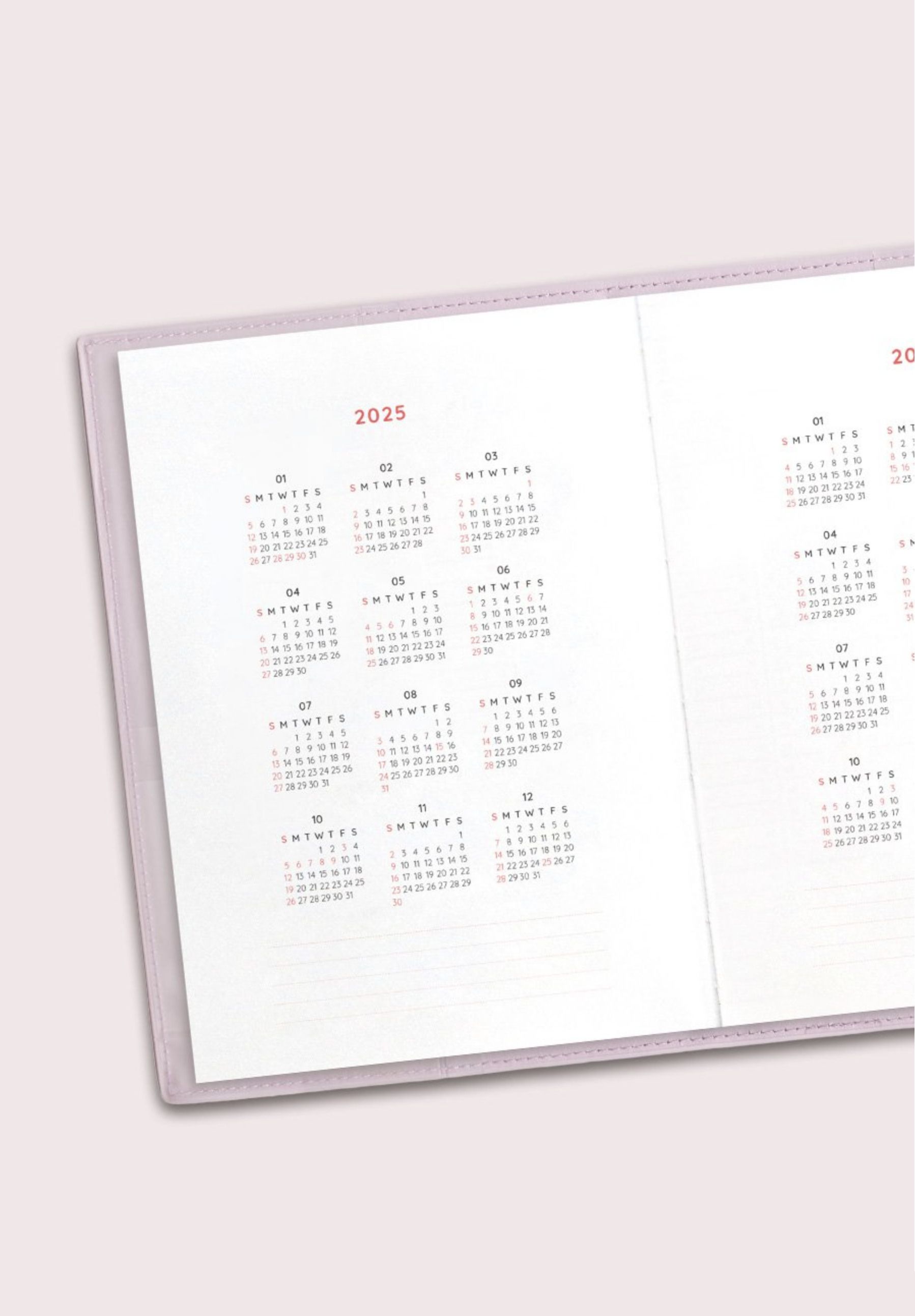 2025 The Planner M