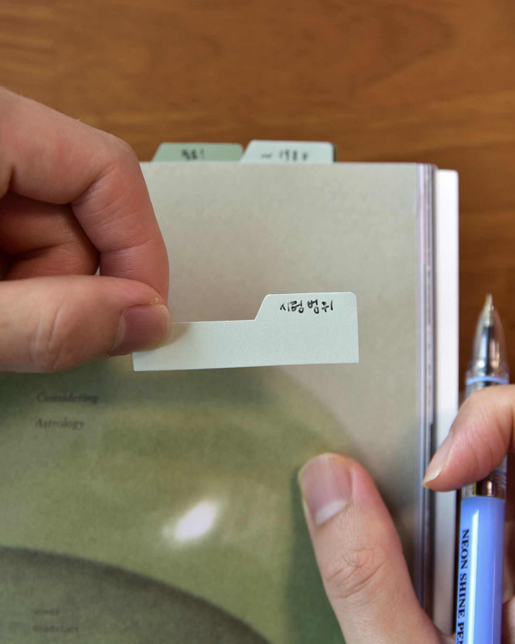 MochiThings: Mini Flag Index Sticky Note