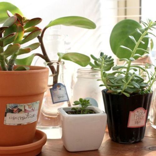 Alice in Wonderland Deco Sticker Set - Image 11