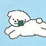24 Lucky Dog