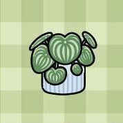 Plant (Gingham)