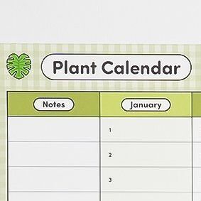Plant (Horizontal)