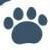 Puppy Paw