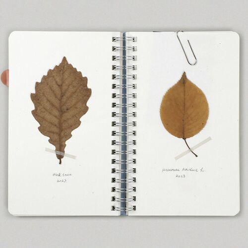 Small Eco Friendly Flat Plain Notebook