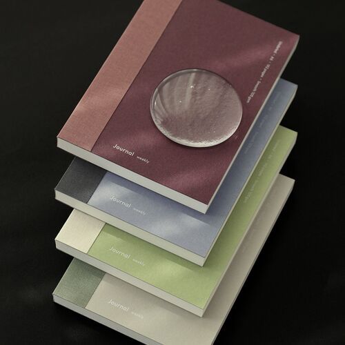 Episode A6 Weekly Journal