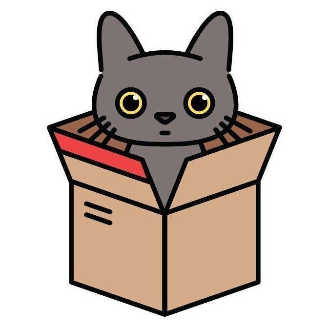 Cat in the Box