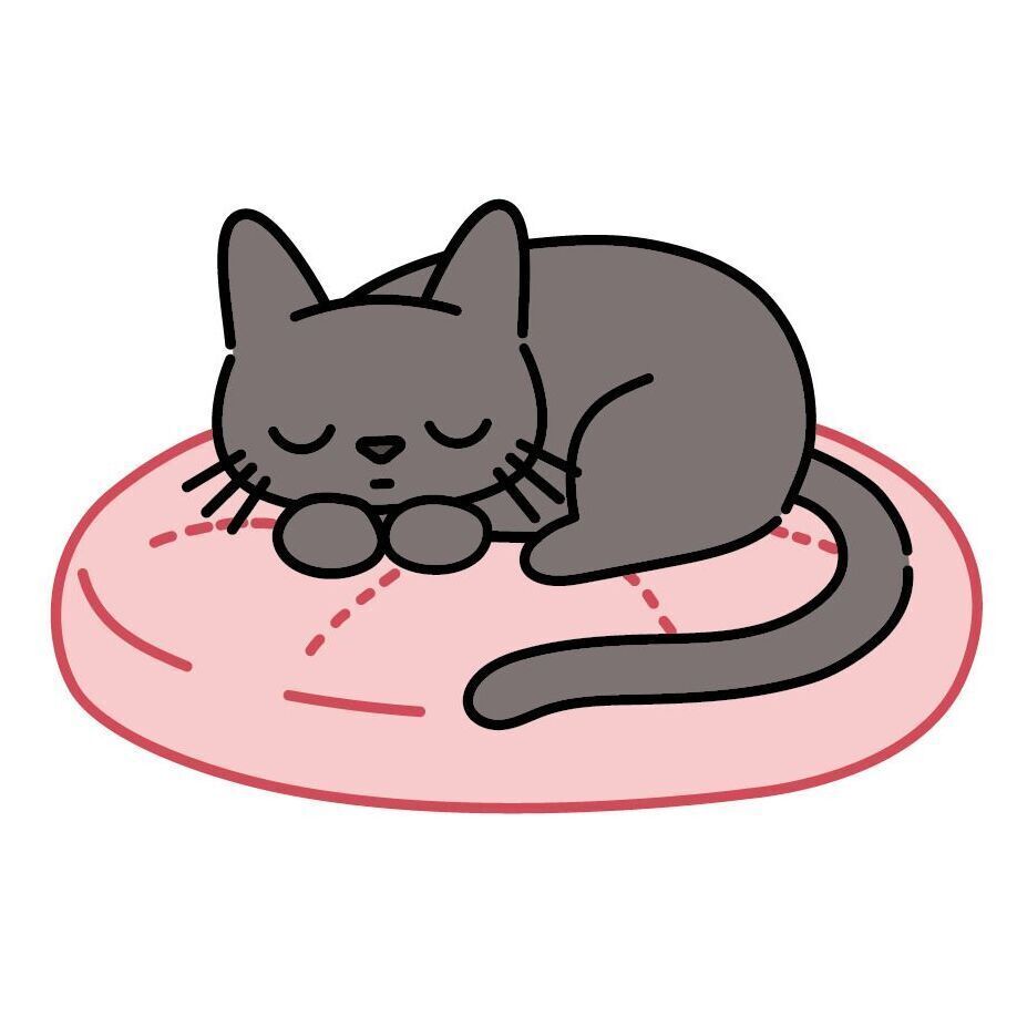 Cushion