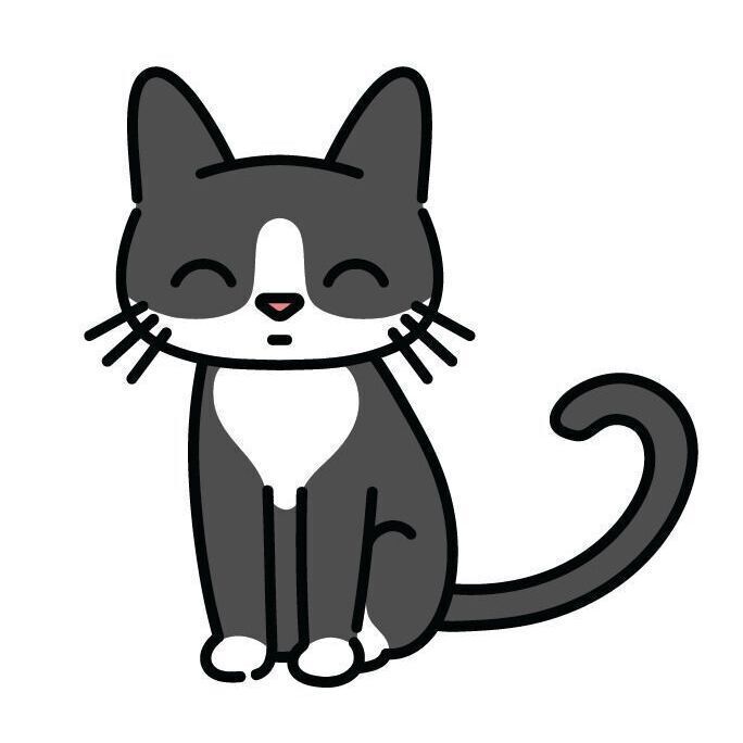 Tuxedo Cat