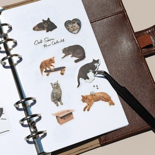 Satin Layer Sticker Book 6 Ring A6 Refill