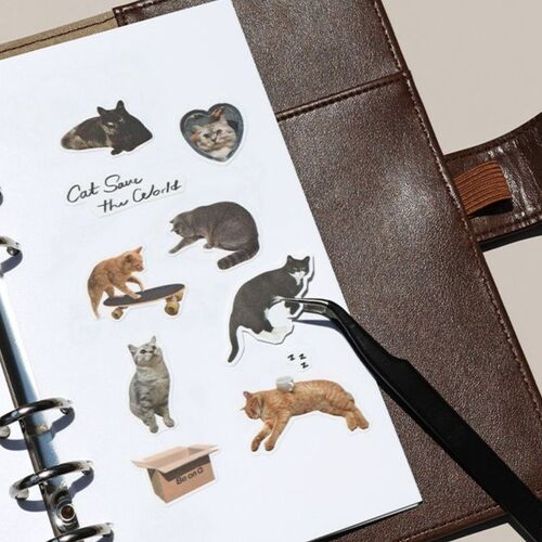 A close-up view of a sticker book page featuring adorable cat stickers, with a focus on the glossy and matte surfaces against a neutral background.