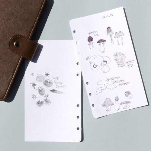 Fountain Friendly 6 Ring A6 Plain Note Refill