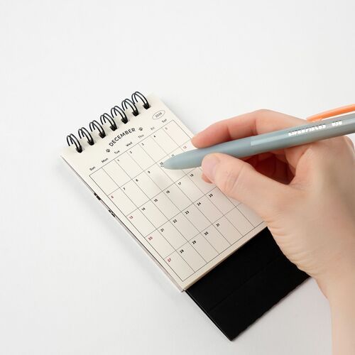 2026 Lana & Tuxedo Cat Mini Desk Calendar