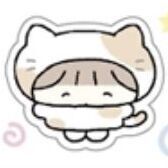 Cat Costume