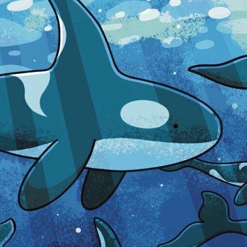 Orca