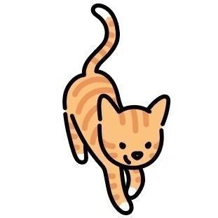 Orange Cat