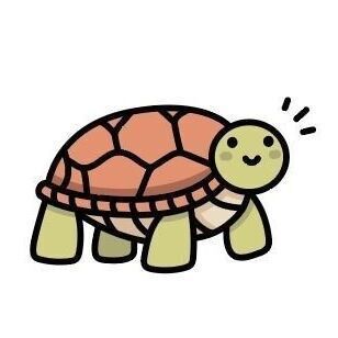 Tortoise