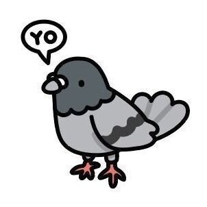 Pigeon