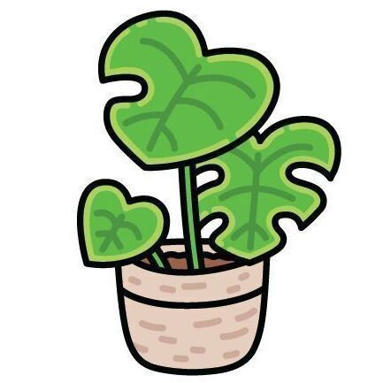 Monstera