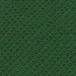 Moss Green