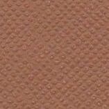 Mocha Mousse