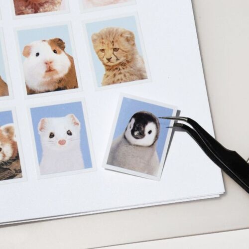 Be On D Sticker Book 6 Ring A5 Refill - Image 2