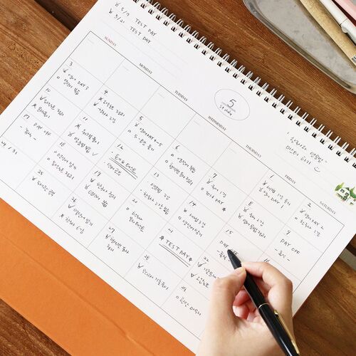 2026 Large Anne Story Desk Scheduler