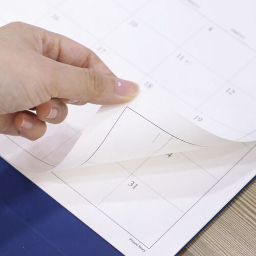 2026 Large Prince Story Desk Scheduler
