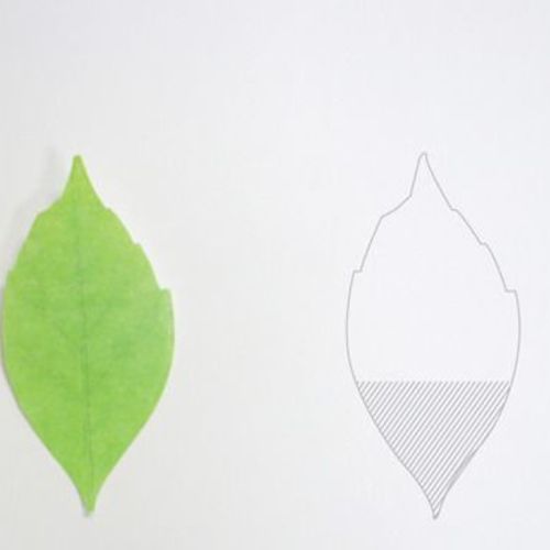 Leaf Sticky Note Collection - Image 5