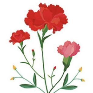 02 Red Carnation B
